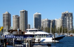 1300 Whales Catamaran at Marina Mirage.