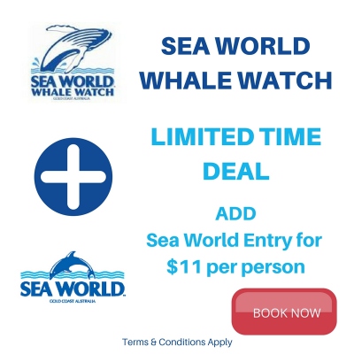 sw+whales