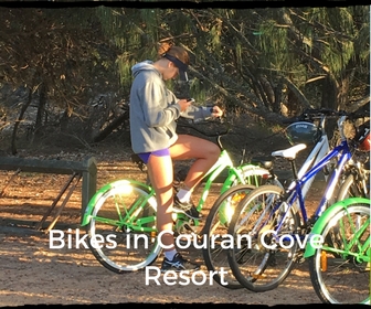 Hire bikes at Couran Cove. Great times for all.
