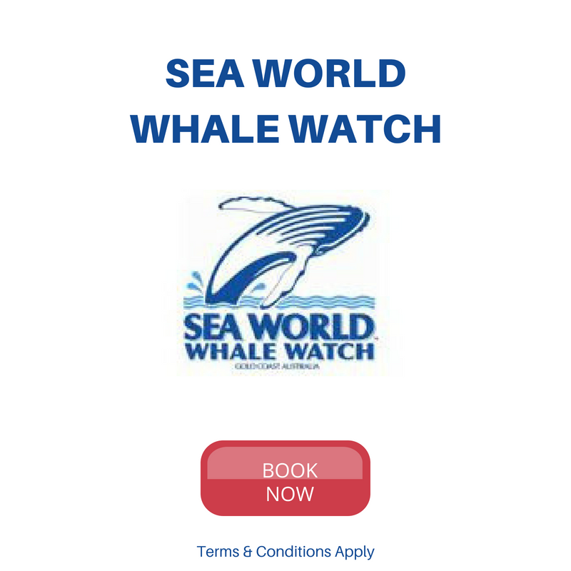 Sea World Whale Watch Latest Deals