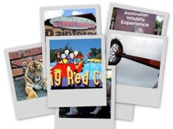 There are many Dreamworld attractions to keep everyone happy.