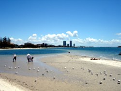 Gold Coast beach - there's plenty to choose from.