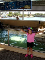 Original Penguin enclosure at Sea World