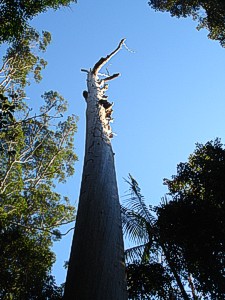 Perfect weather on the Gold Coast. When they are blue the skies are amazing.