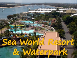 Sea World Resort & Waterpark from above