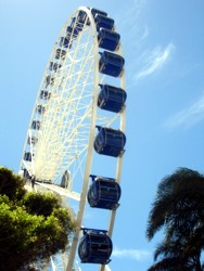 SeaWorld Eye 2007