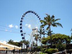 SeaWorld Eye