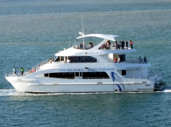 Seaworld Gold Coast Cruise Boat