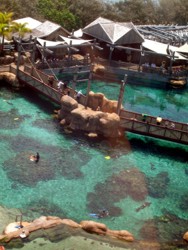 Shark Bay From Sea World Eye