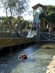 Vikings Revenge Ride at Sea World