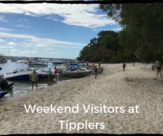 Weekend Visitors At Tipplers.