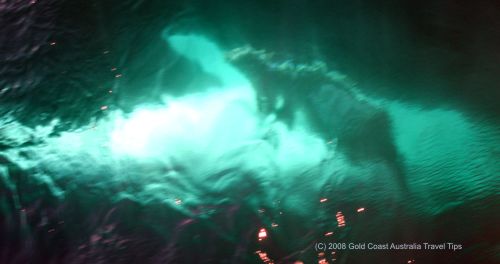 Humpback whale underwater photo taken from above