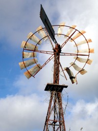 Windmill at Mt Tamborine In Springtime.