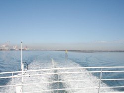 Leaving Brisbane behind and heading down the Brisbane River heading across Moreton Bay for a Tangalooma Day Trip