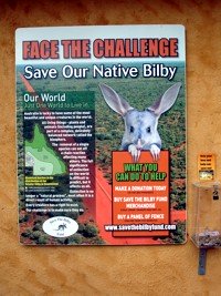 Dreamworld Bilby conservation - have you ever seen a bilby? Once you have you have to help save them!