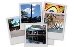 There are many places to buy Dreamworld Tickets.