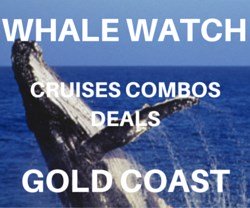 Gold Coast whale watching deals and combinations.