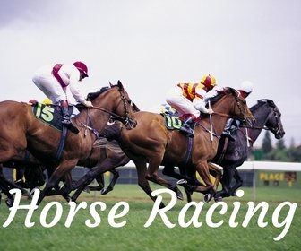 Horse Racing on Gold Coast