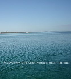 Moreton Bay playground of returning whales and calves during the whale watching season.