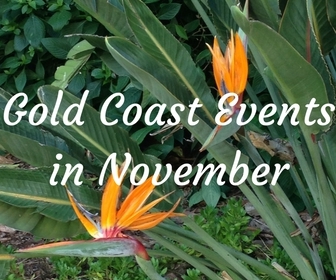 Gold Coast events in November