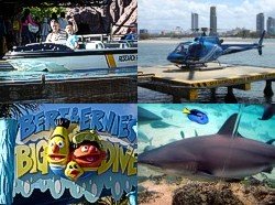 Some of the attractions at Sea World Gold Coast