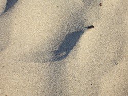 Surfers Paradise Beach sand! Just awesome