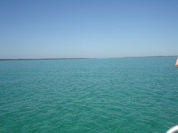 The blue waters of Tangalooma!