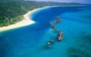 Tangalooma Wrecks