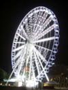 Surfers Paradise Wheel At Night