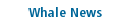 Whale News
